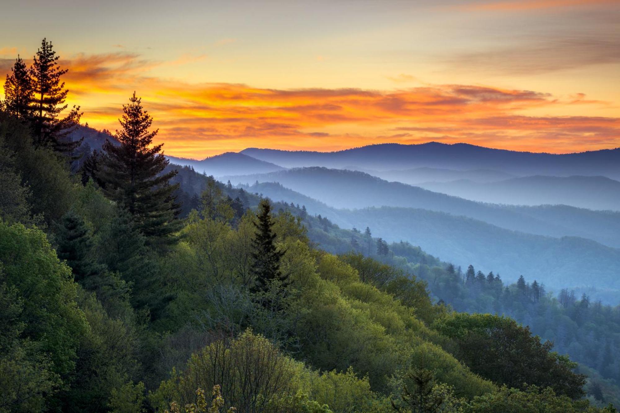 River Secret Pigeon Forge Zimmer foto